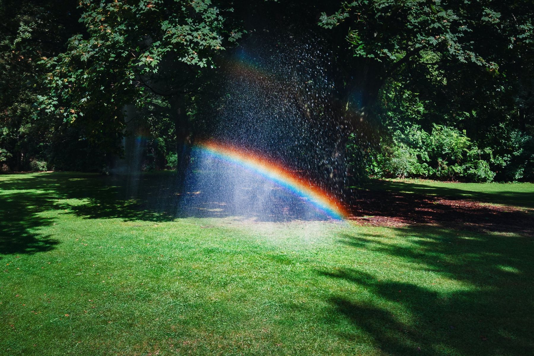 Rasensprenger bewässert eine Rasenfläche, im Wasserstrahl bildet sich ein Regenbogen