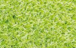 Kunstrasen Rasenteppich Meterware Kuenstlich Lime